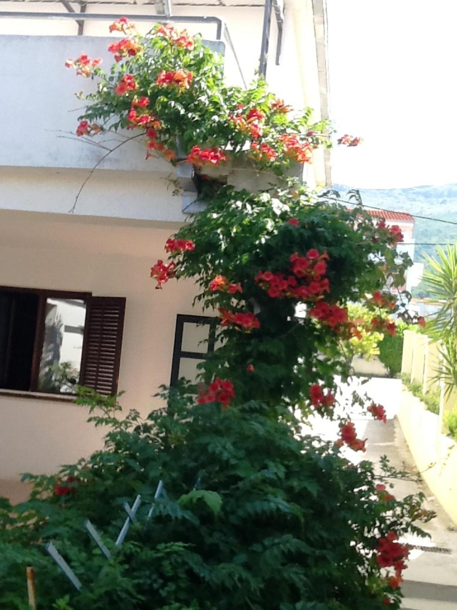 Villa Tamaris On The Beach ポドストラナ 部屋 写真